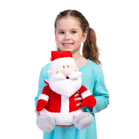 Подарок «Дед Мороз» 600г Премиум ПТЗ-39п